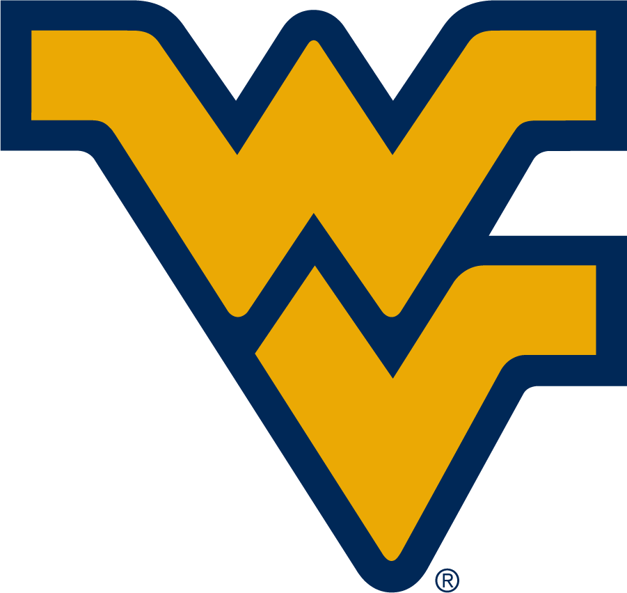 West Virginia Mountaineers 2016-Pres Alternate Logo iron on transfers for clothing